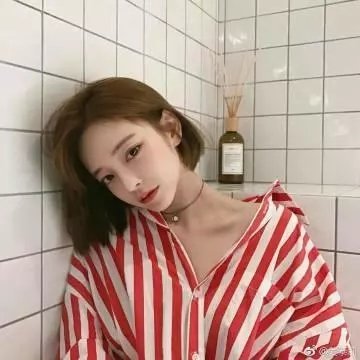 白鹭